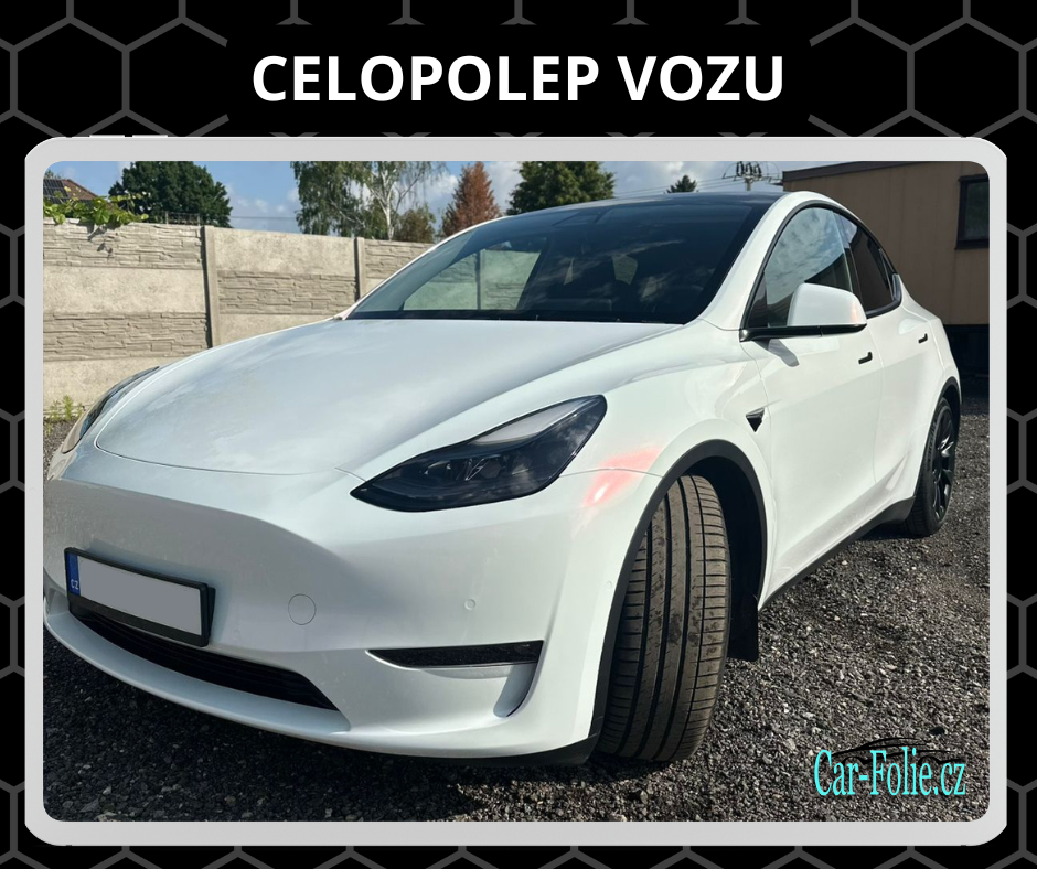 Tesla celopolep