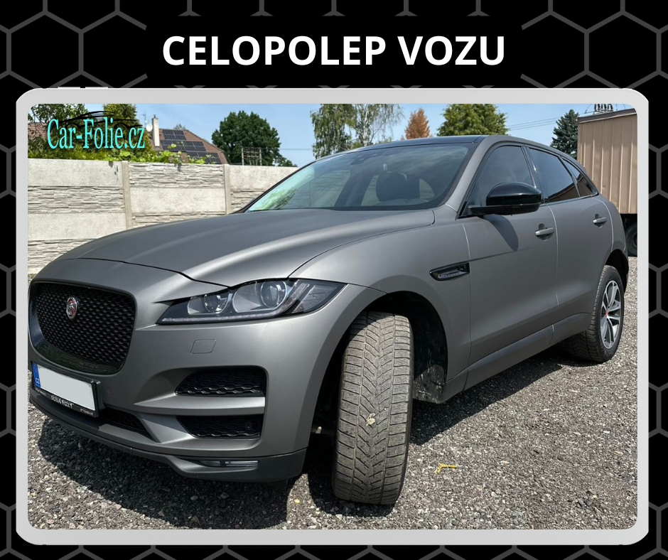 Jaguar celopolep